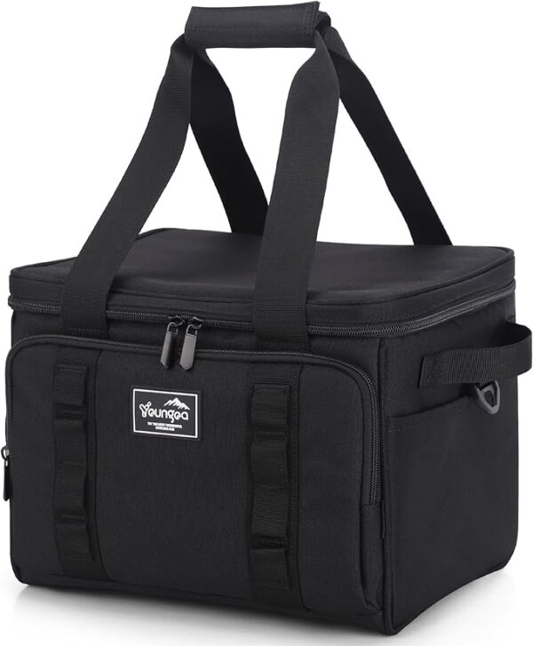 18L Small Insulated Cooler Bag Soft Sided Portable Collapsible ice Cooler for Beach, Camping, 24-Can, Leakproof